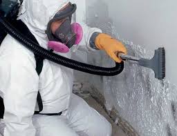 Why You Should Choose Our Mold Remediation Services in Berwyn Heights, MD